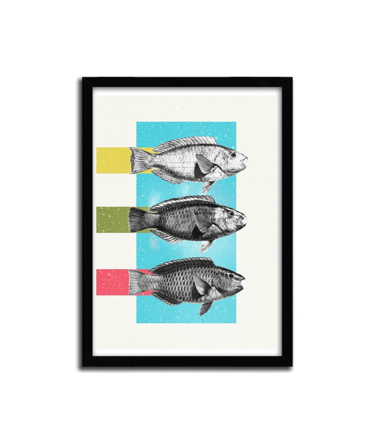 Affiche -Fische von Danny Ivan