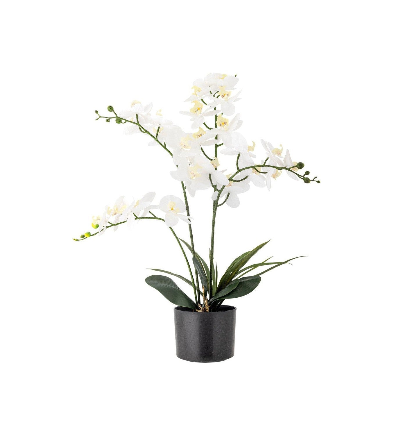 Bloomingville Orchid gervi planta, grænt, plast