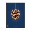  Pine Cone Classic Poster Rahmen aus schwarz lackiertem Holz 50x70 cm dunkelblauer Hintergrund