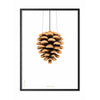  Pine Cone Classic Poster Rahmen aus schwarz lackiertem Holz 70x100 cm weißer Hintergrund