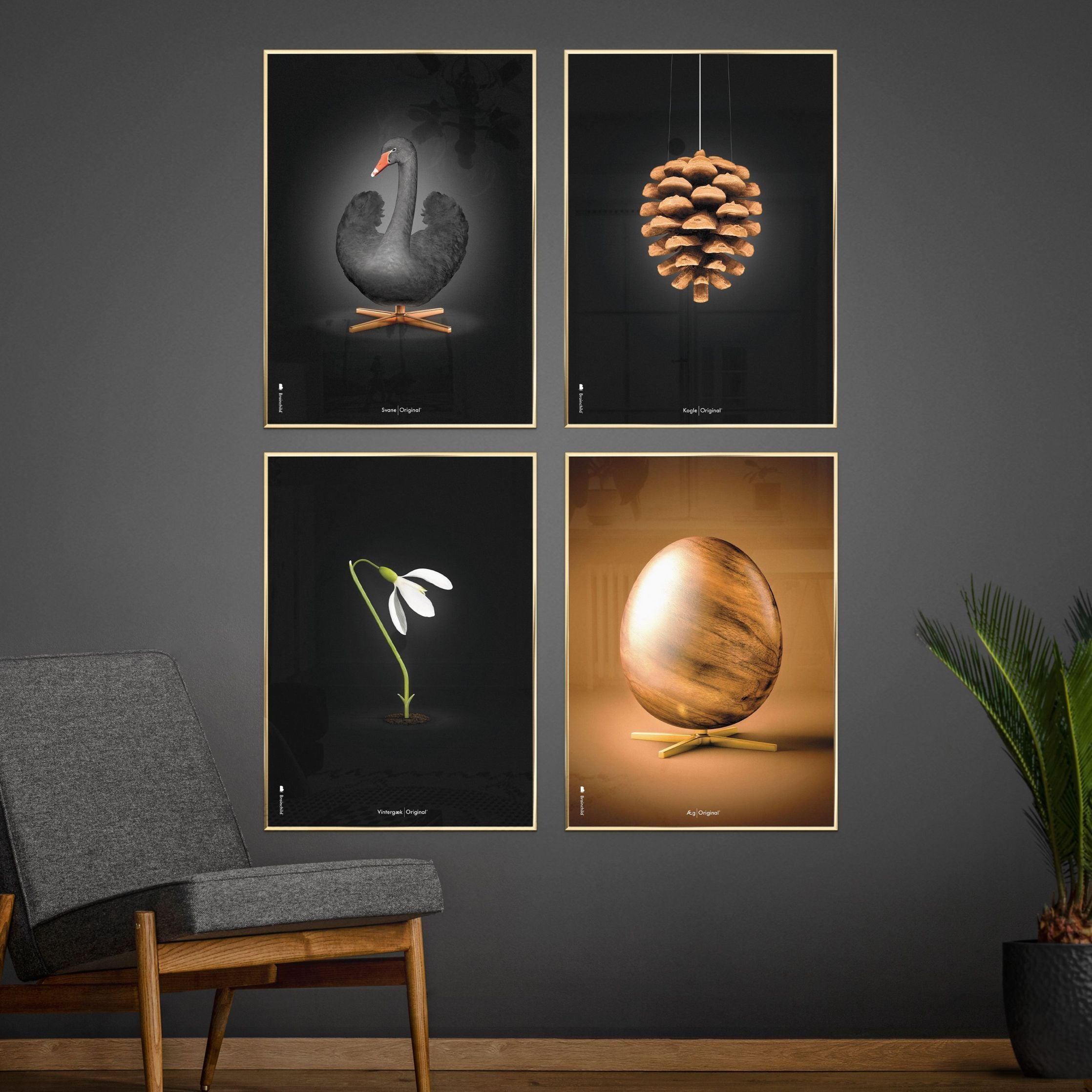 [product_category]-Brainchild Pine Cone Classic Poster, Frame In Black Lacquered Wood A5, Black Background-Brainchild-23001-C-BRA-10