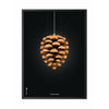  Pine Cone Classic Poster Rahmen aus schwarz lackiertem Holz A5 schwarzer Hintergrund