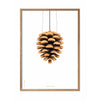  Pine Cone Classic Poster Rahmen aus hellem Holz A5 weißer Hintergrund