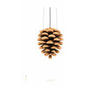  Pine Cone Classic Poster Without Frame 50 X70 Cm White Background