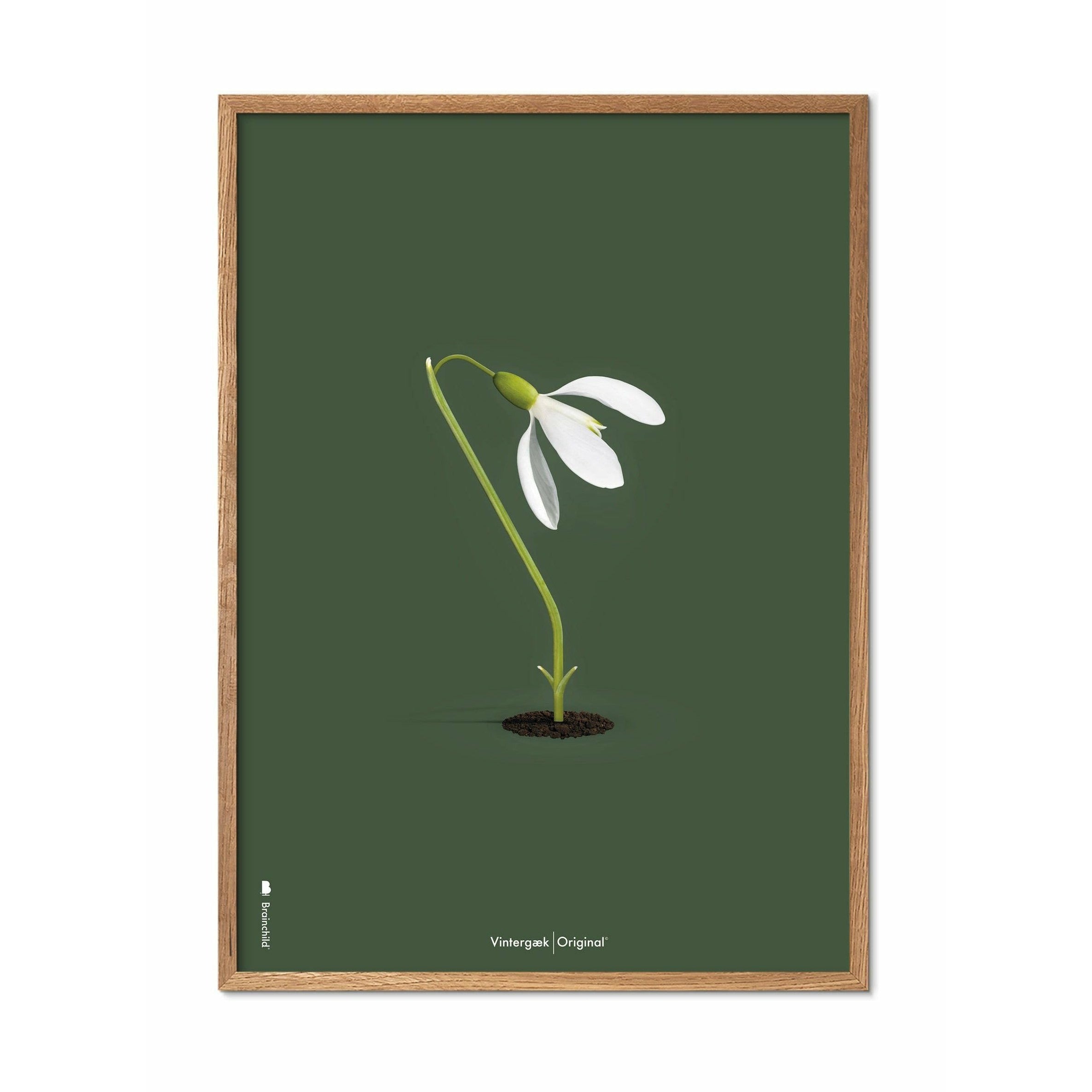 [product_category]-Brainchild Snowdrop Classic Poster, Frame Made Of Light Wood 30x40 Cm, Green Background-Brainchild-61002-A-BRA-1