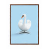 brainchild Swan Classic Poster donker hout frame 70x100 cm lichtblauwe achtergrond