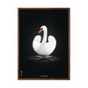 brainchild Swan Classic Poster Dark Wood Frame A5 White/White Achtergrond