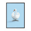  Swan Classic Poster Rahmen aus schwarz lackiertem Holz 30x40 cm hellblauer Hintergrund