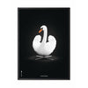 brainchild Affiche classique de cygne cadre en bois laqué noir 30x40 cm fond blanc / blanc