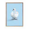 brainchild Swan Classic Poster frame gemaakt van licht hout 30x40 cm lichtblauwe achtergrond