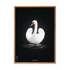 brainchild Affiche classique de cygne cadre en bois clair 70 x100 cm fond blanc / blanc