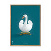  Schwan Classic Poster heller Holzrahmen 50 X70 cm Petrolblauer Hintergrund