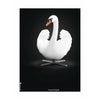 brainchild Swan Classic plakat uden ramme A5 hvid/hvid baggrund