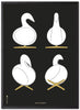 Brainchild Swan Design Sketches Posterrahmen aus schwarz lackiertem Holz, A5, schwarzer Hintergrund