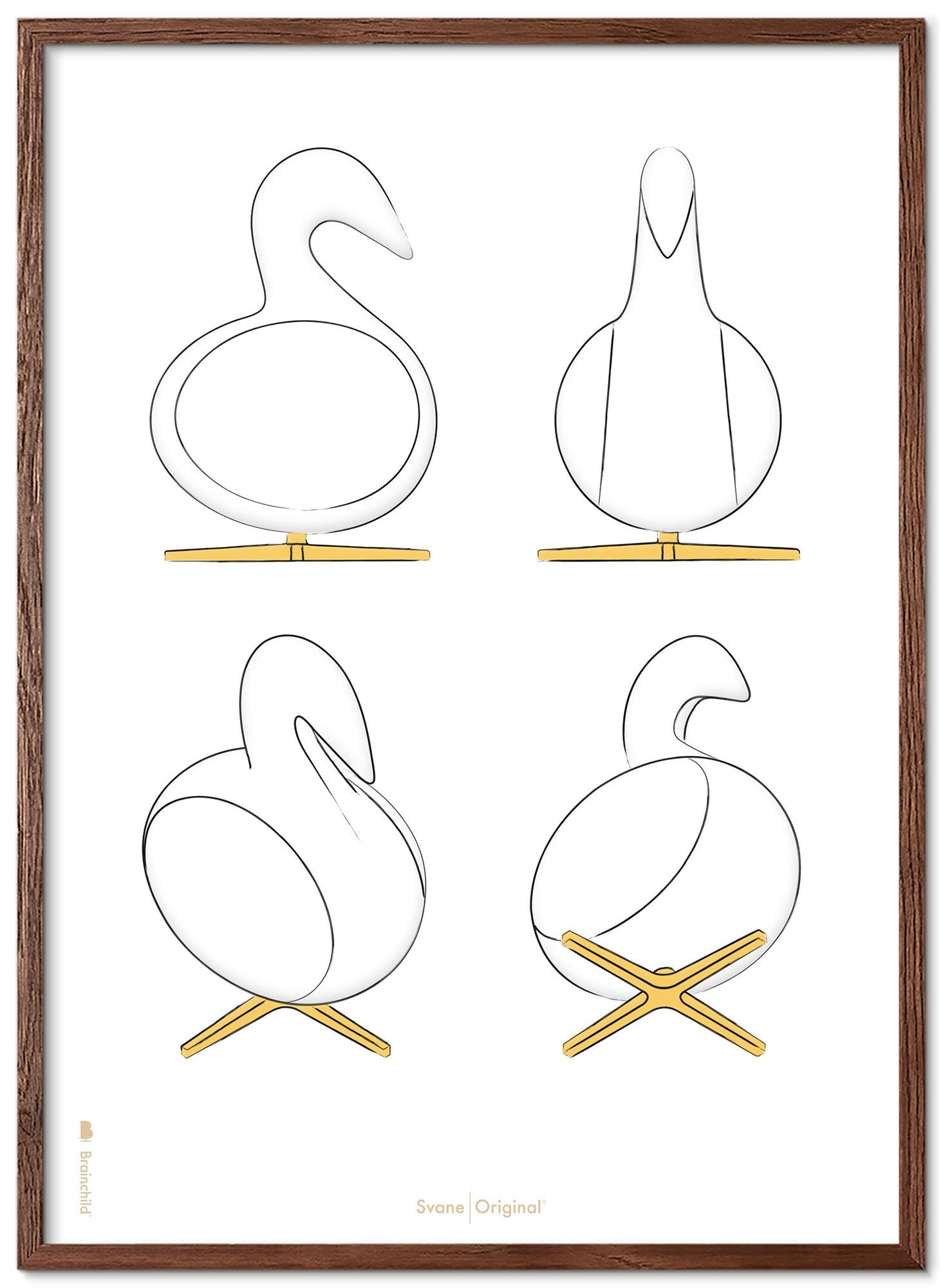 [product_category]-Brainchild Swan Design Sketches Poster Frame Made Of Dark Wood 50x70 Cm, White Background-Brainchild-S-22003-B-BRA-1