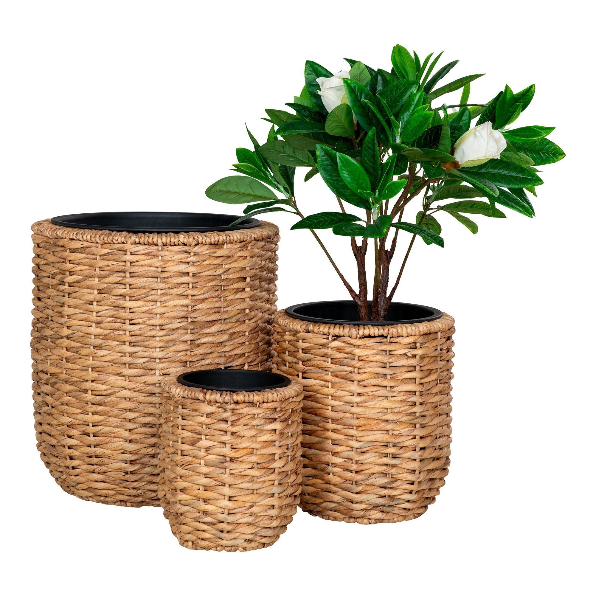 Talo pohjoismainen Hanoi Planter