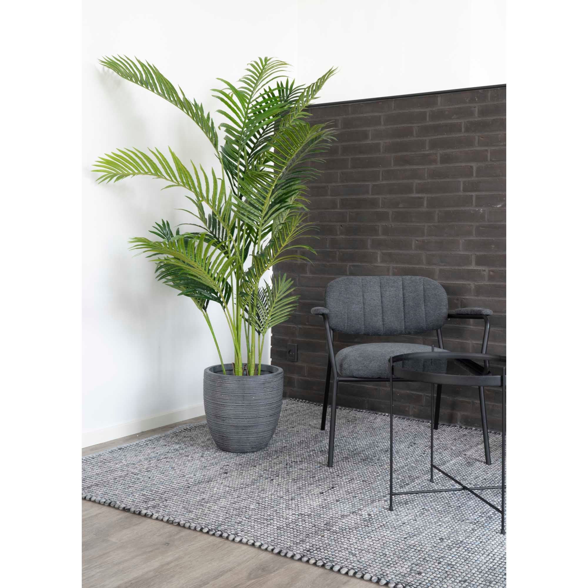 Haus nordischer Areca Palm