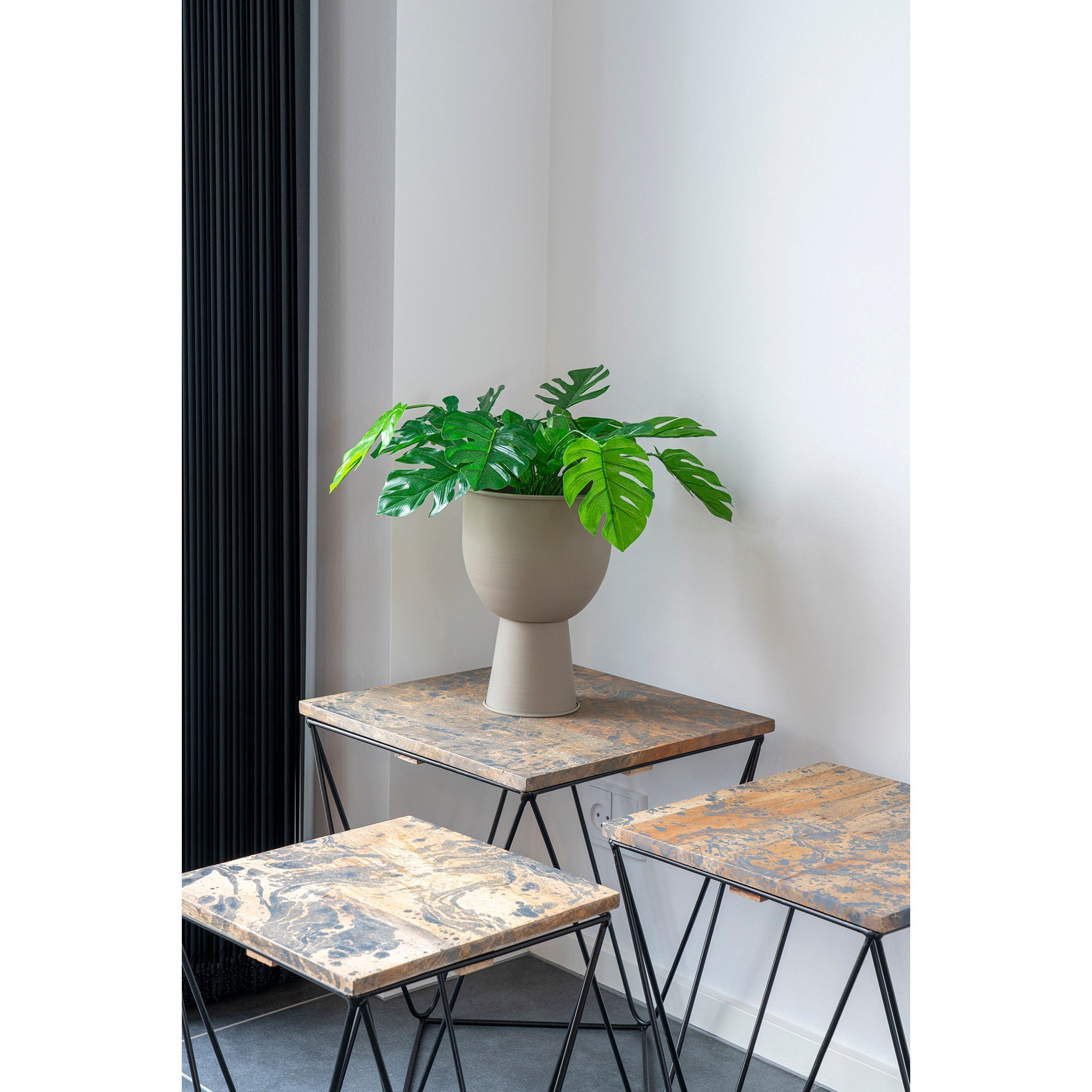 Huis Noordse monstera