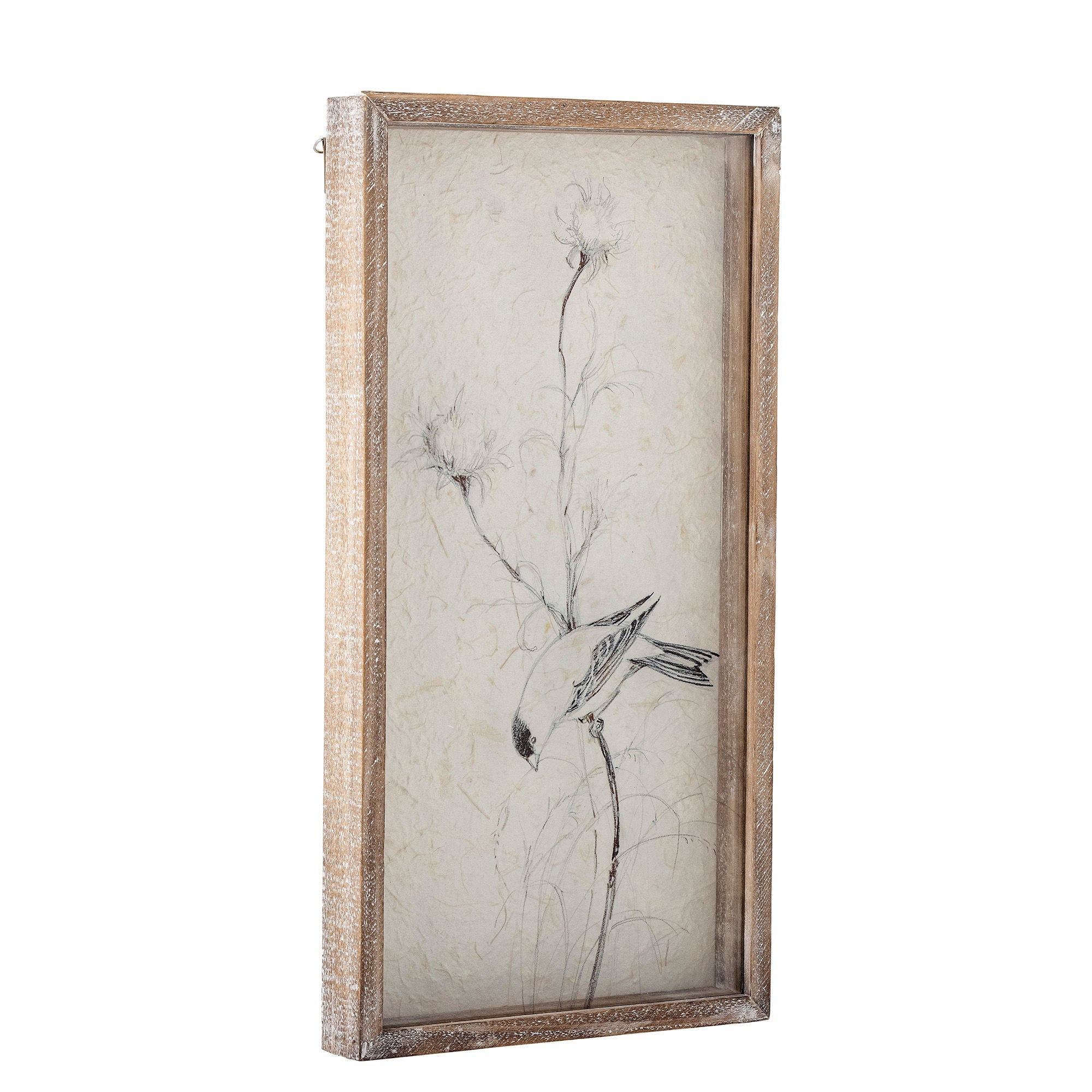 Collezione creativa illustrazione aurel w/ frame, natura, airwood