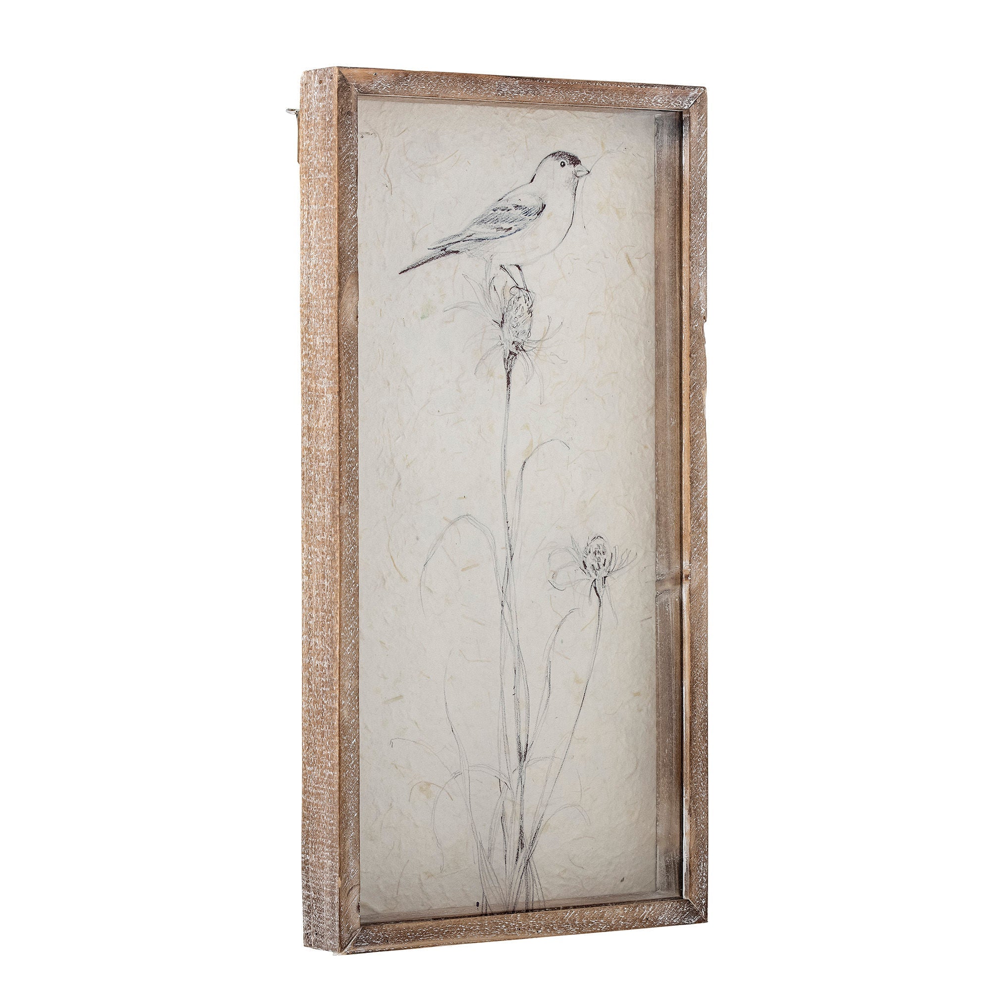 Collezione creativa illustrazione aurel w/ frame, natura, airwood