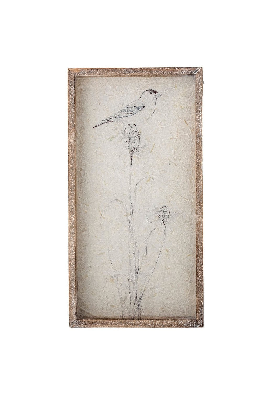 Création Collection Aurel Illustration w / Frame, Nature, Firwood