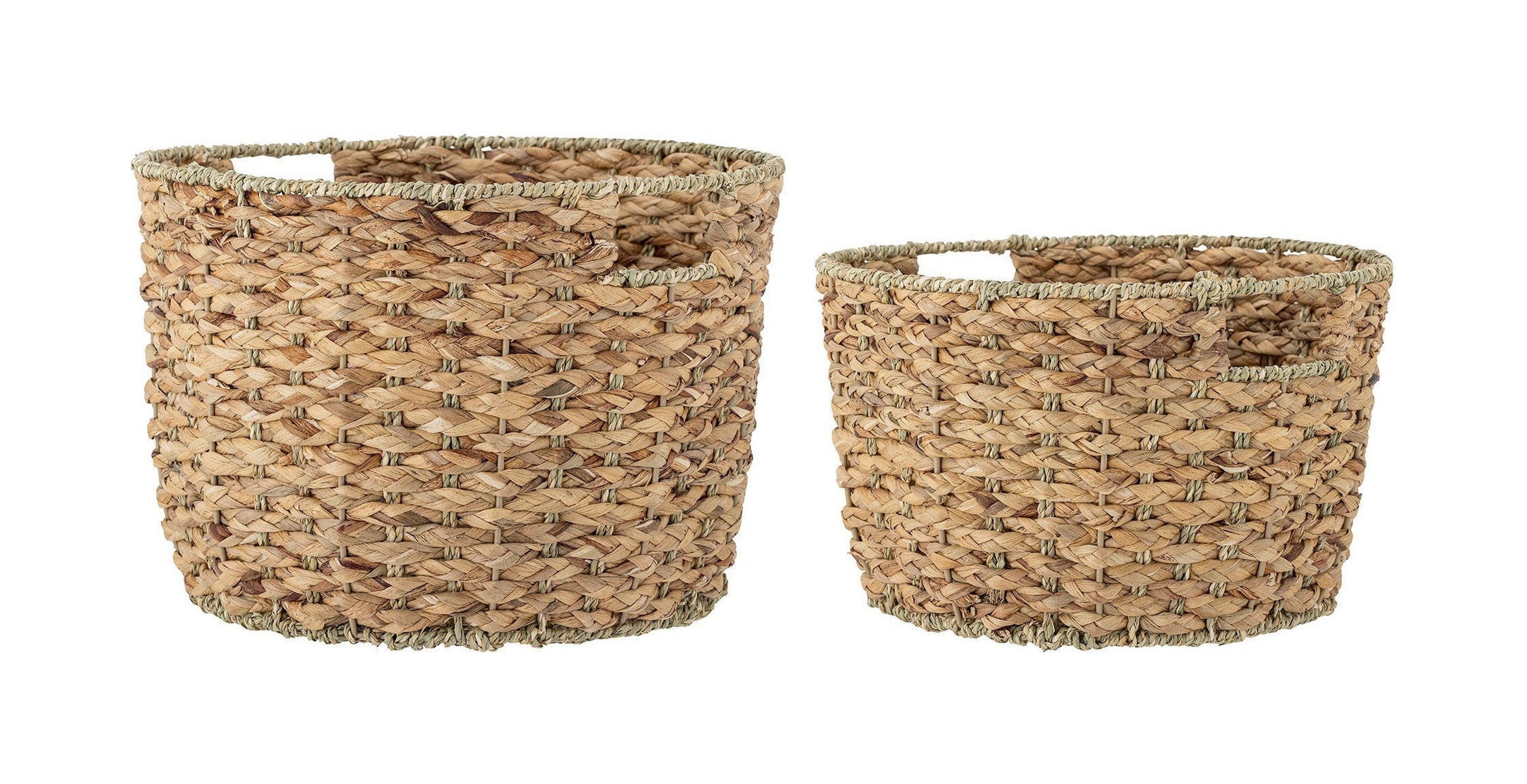 Collezione creativa Basket rime, natura, giacinto d'acqua