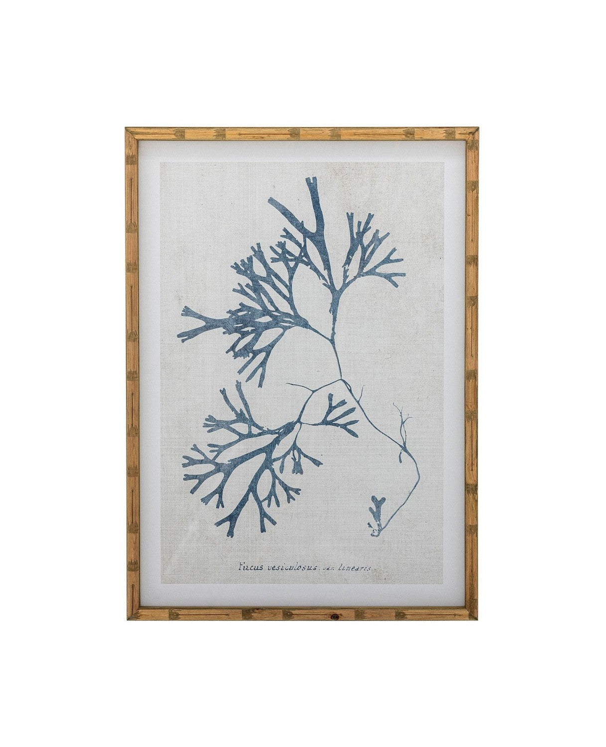 Collezione creativa Sumner Illustration W/ Frame, Nature, Firwood