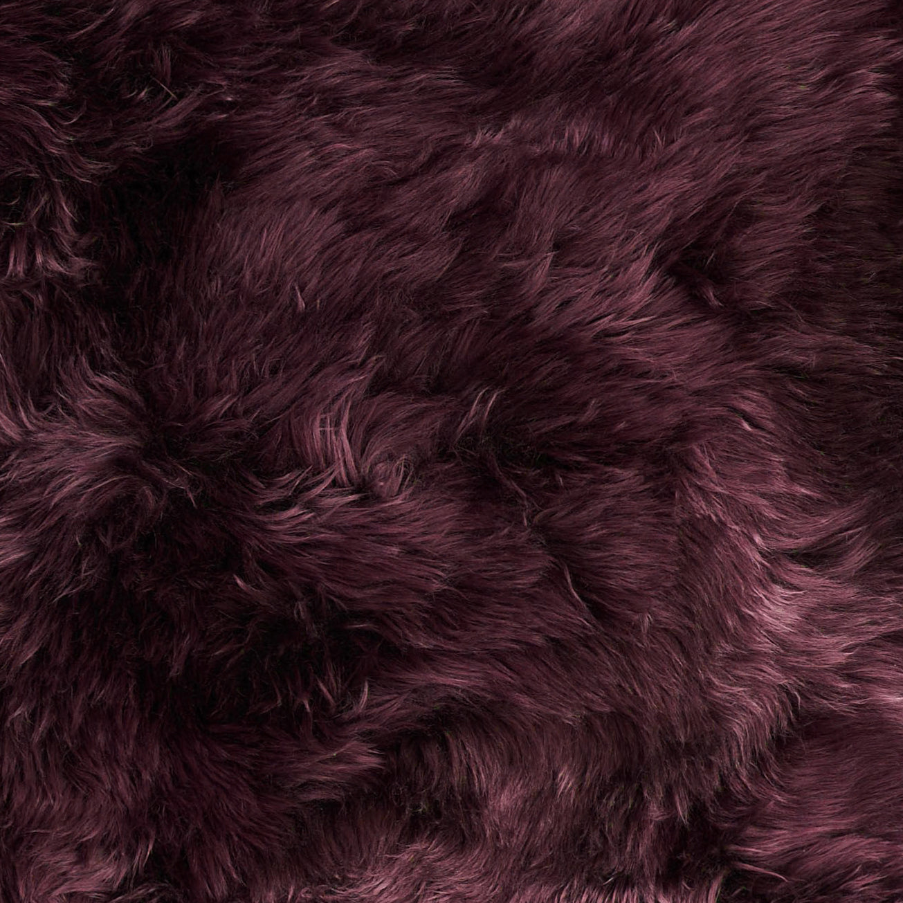 Plum Purple Genuine Sheepskin Chair Pad | Torget