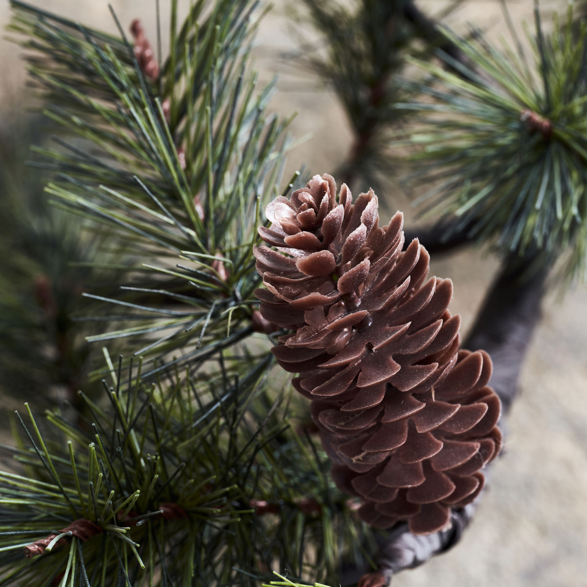 Branche de Noël du médecin de maison w. LED, hdpeuce, nature