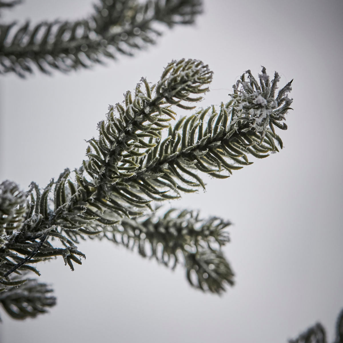 Huslæge juletræ w. LED, HDNAT, Natur