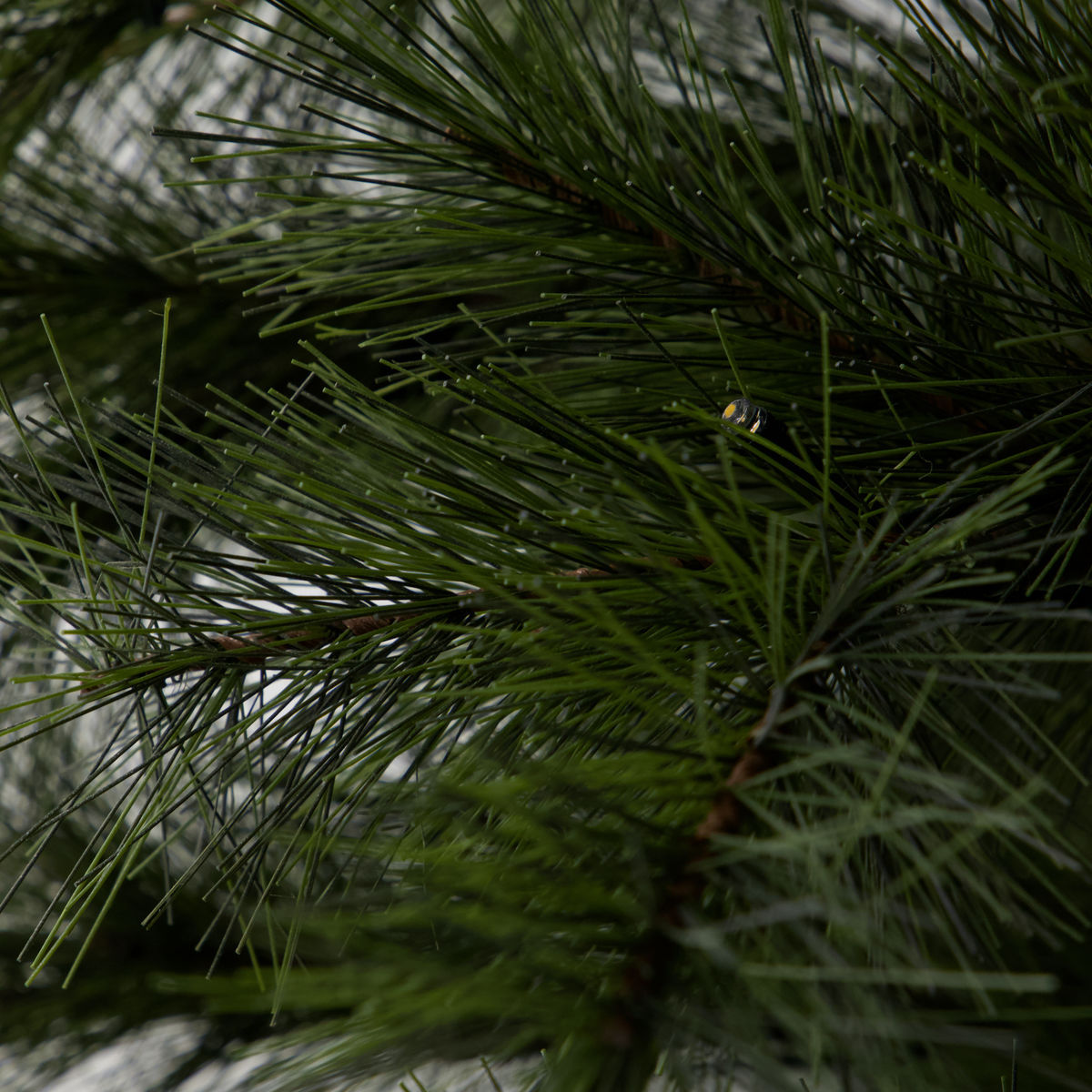 Docteur de maison arbre de Noël w. LED, hdpeuce, nature