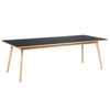 Fdb Møbler C35 B Dining Table Oak, Dark Grey Linoleum, 95x220cm