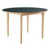 FDB Møbler Table à manger C62 E avec fonction de traction, linoléum naturel / vert foncé