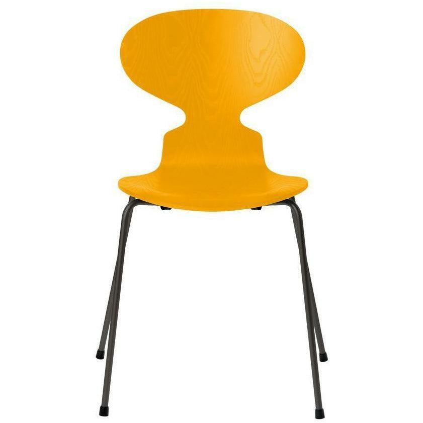 Fritz Hansen Ant Chair Colored Ash True Yellow Bowl, Warm Graphite Base