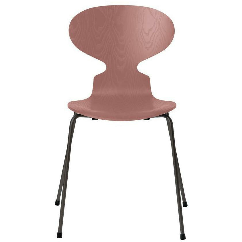 Fritz Hansen Ant Chair Tinted Ash Wild Rose Bowl, base di grafite calda