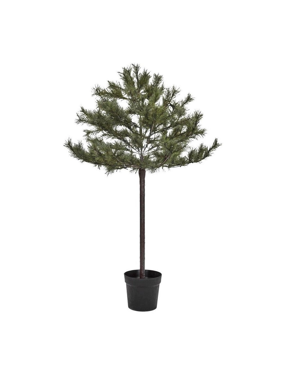 Albero di Natale del dottore di casa w. LED, HDPEUCE, natura