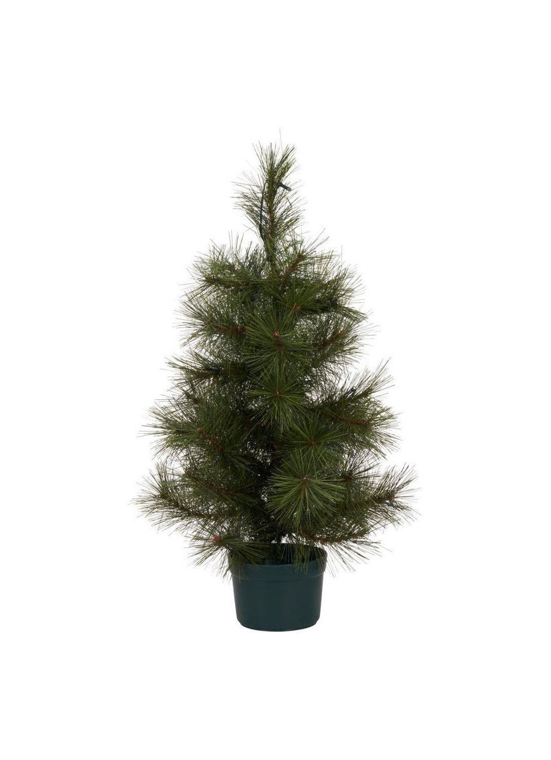 Huisarts kerstboom w. Led, hdpinus, natuur