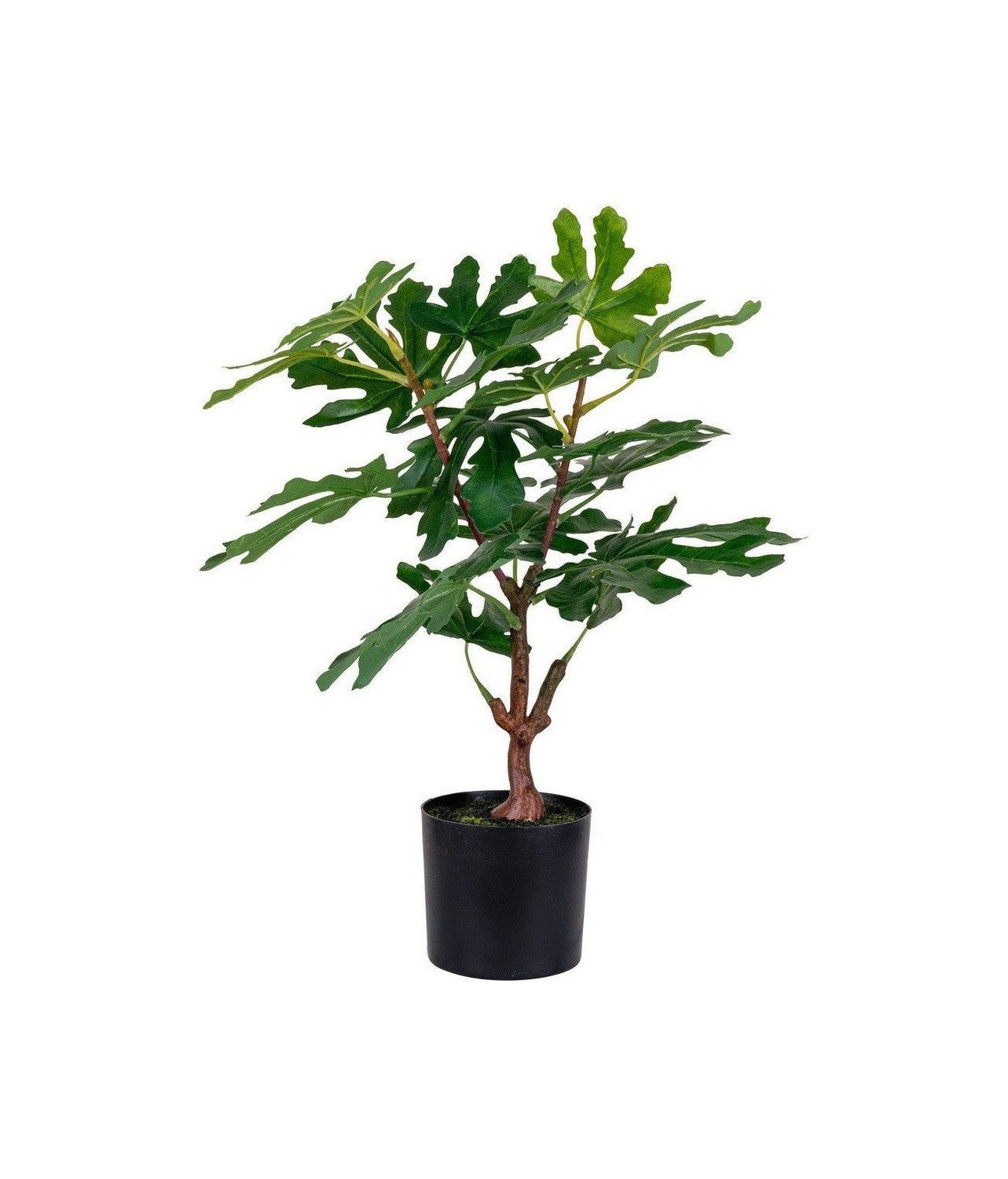 House Nordic Fig Tree, Artificial Plant, Green, H:60 Cm