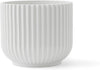 Lyngby Pot Blanc, Moyen 