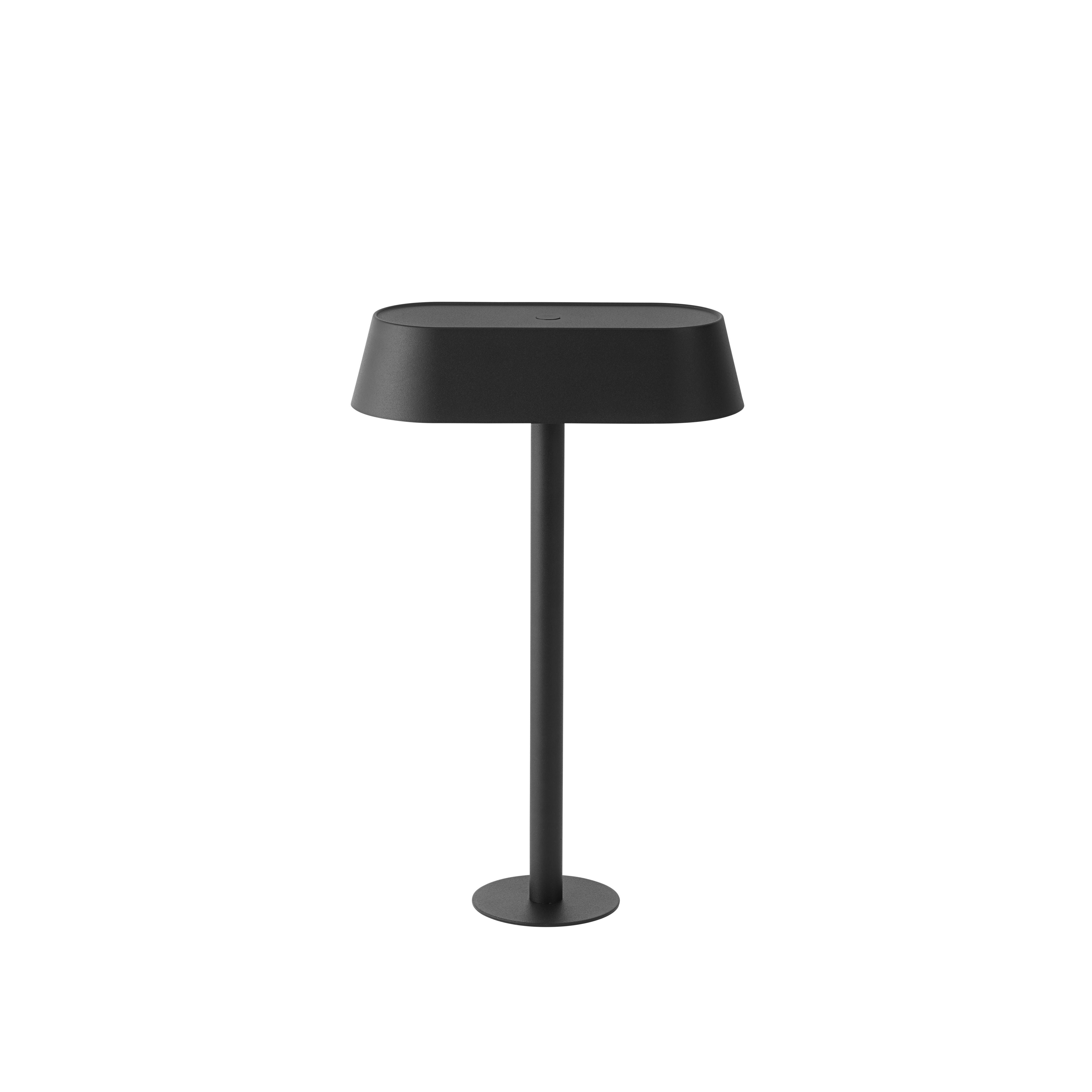 Muuto Lineair gemonteerde lamp 23x36 cm, zwart