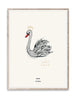  Affiche Lady Swan 30x40 cm