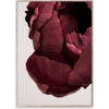 Paper Collective Peonia 02 Poster, 50x70 cm