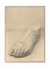  The Foot Poster 30x40 Cm