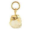 Vincent Maandelijkse stenen hanger november Citrine Gold Pated