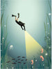 Vissevasse Diver -poster, 15 x21 cm