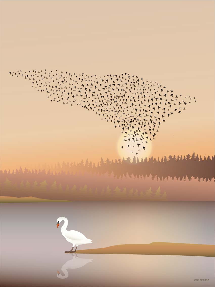 [product_category]-Vissevasse Murmuration Poster, 30x40 Cm-Vissevasse-5713138202721-F-2022-027-M-VIS-1