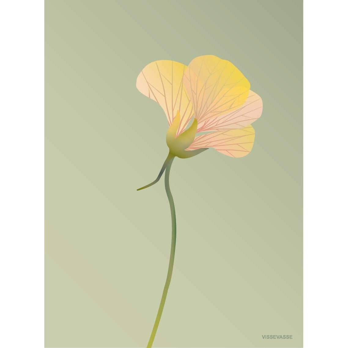 Vissevasse Nasturtium -plakat 50 x70 cm, grønn