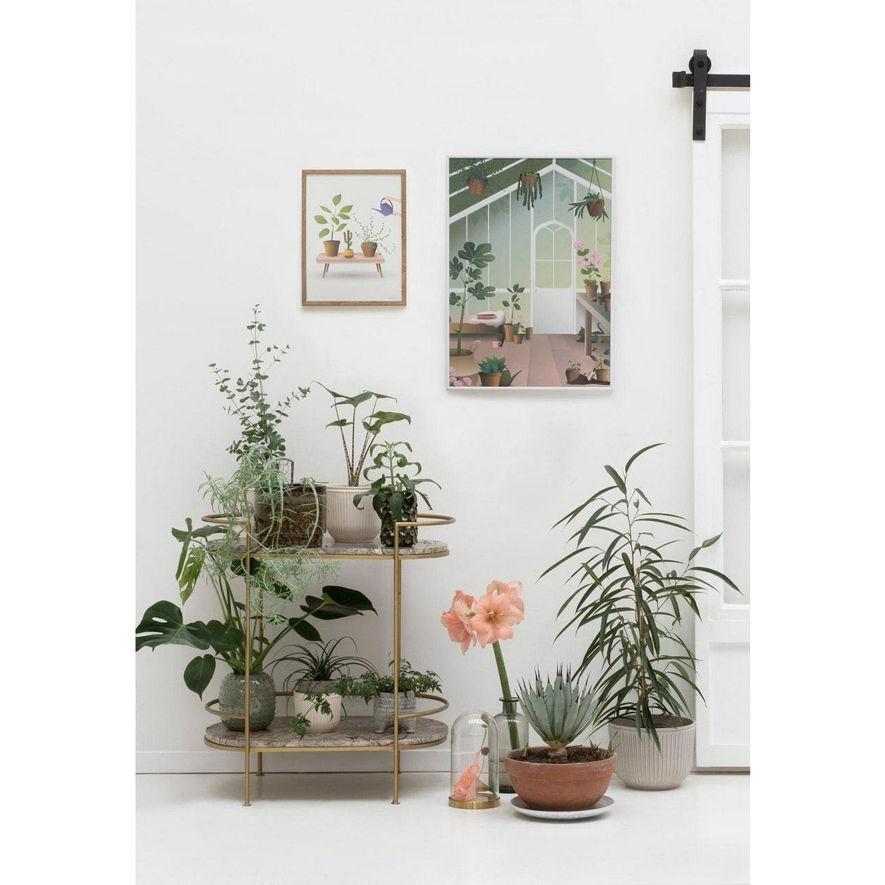 Vissevasse Orangerie Poster, 50 X70 cm