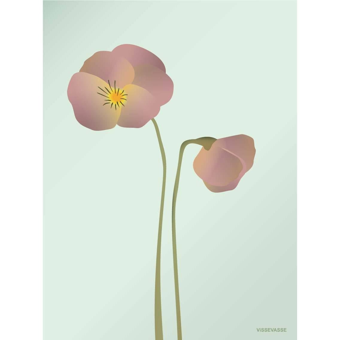 Vissevasse Pansy plakat mynte, 30 x40 cm