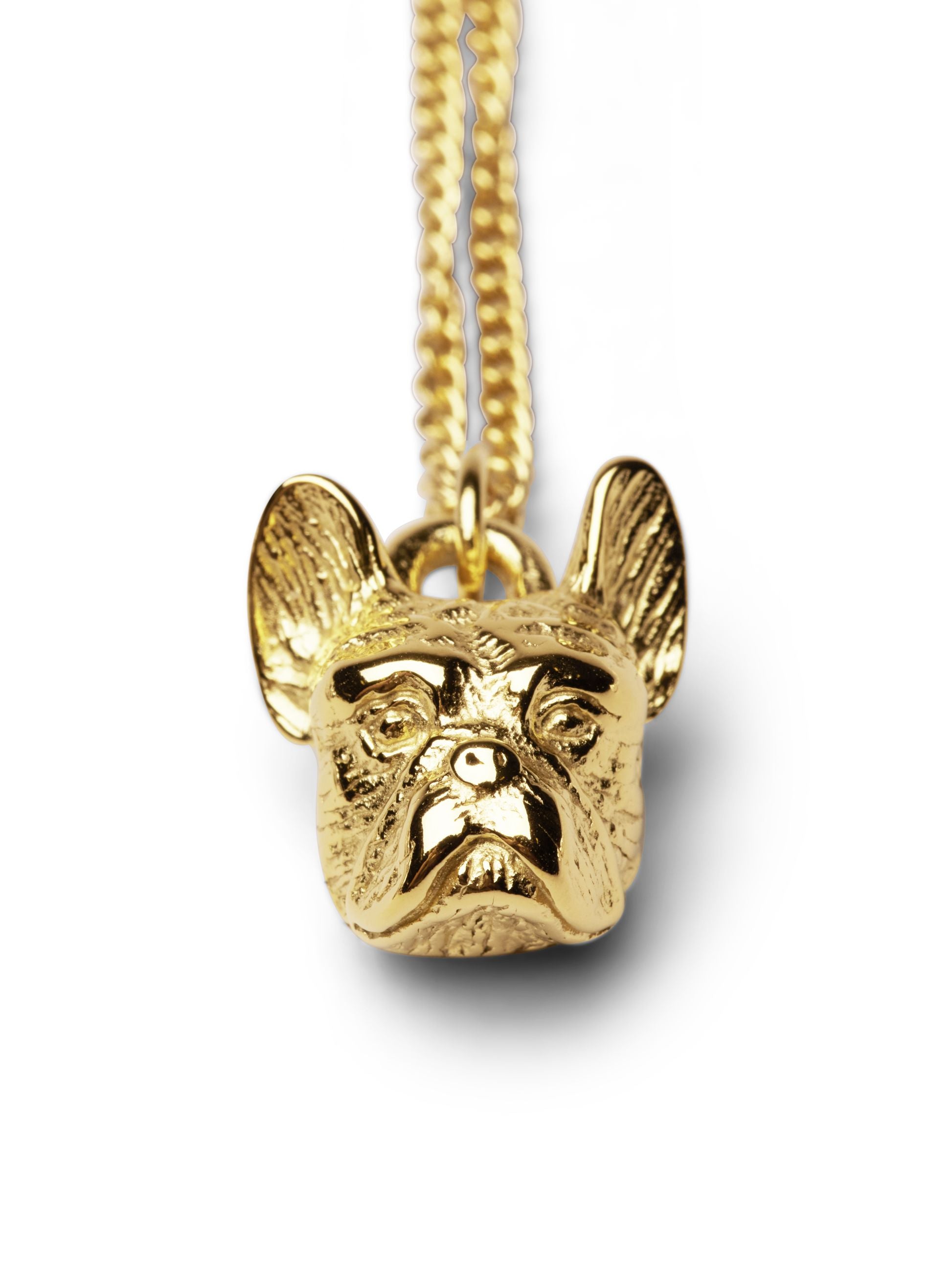 Collana bulldog francese Skultuna, oro placcata